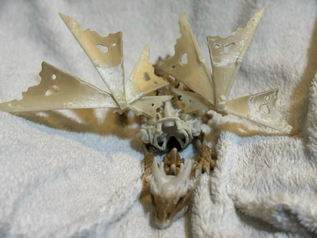 Wraithwing Dragon