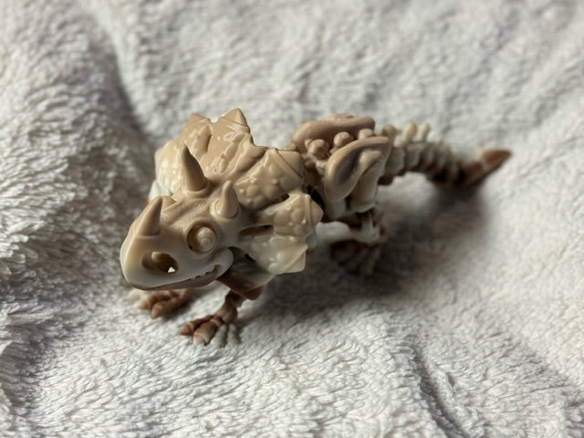 Skeleton Triceratops