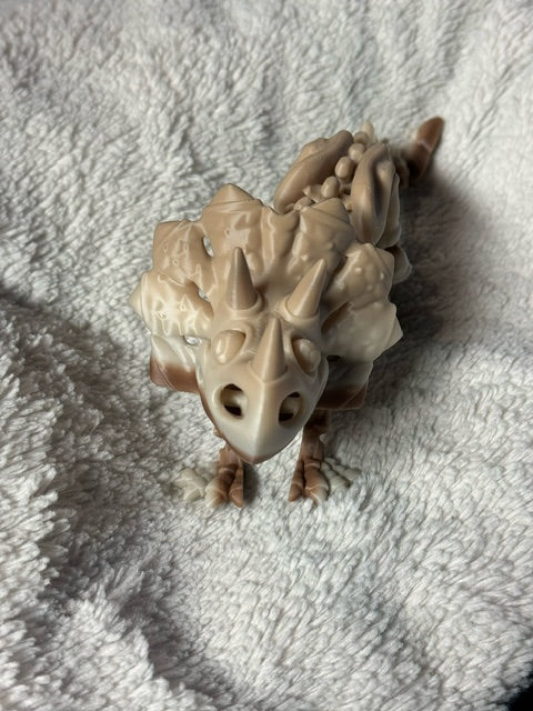 Skeleton Triceratops
