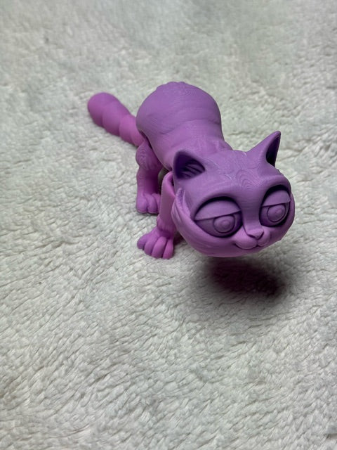 Kitten