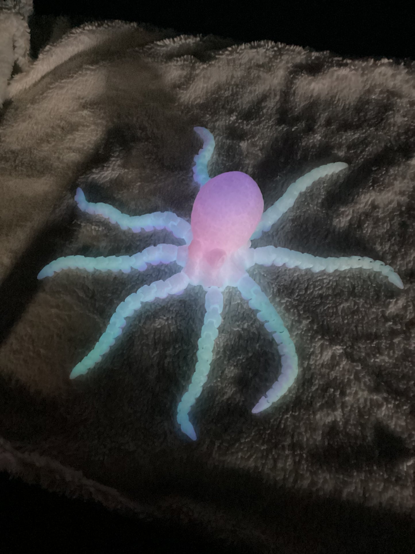 Octopus 2.0