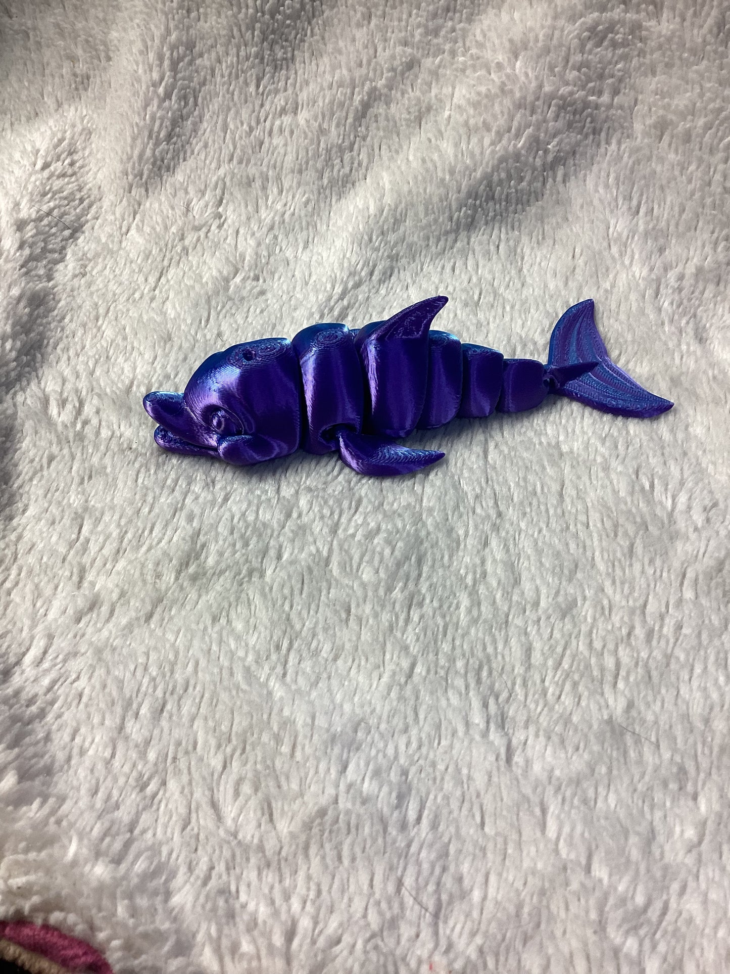 Dolphin