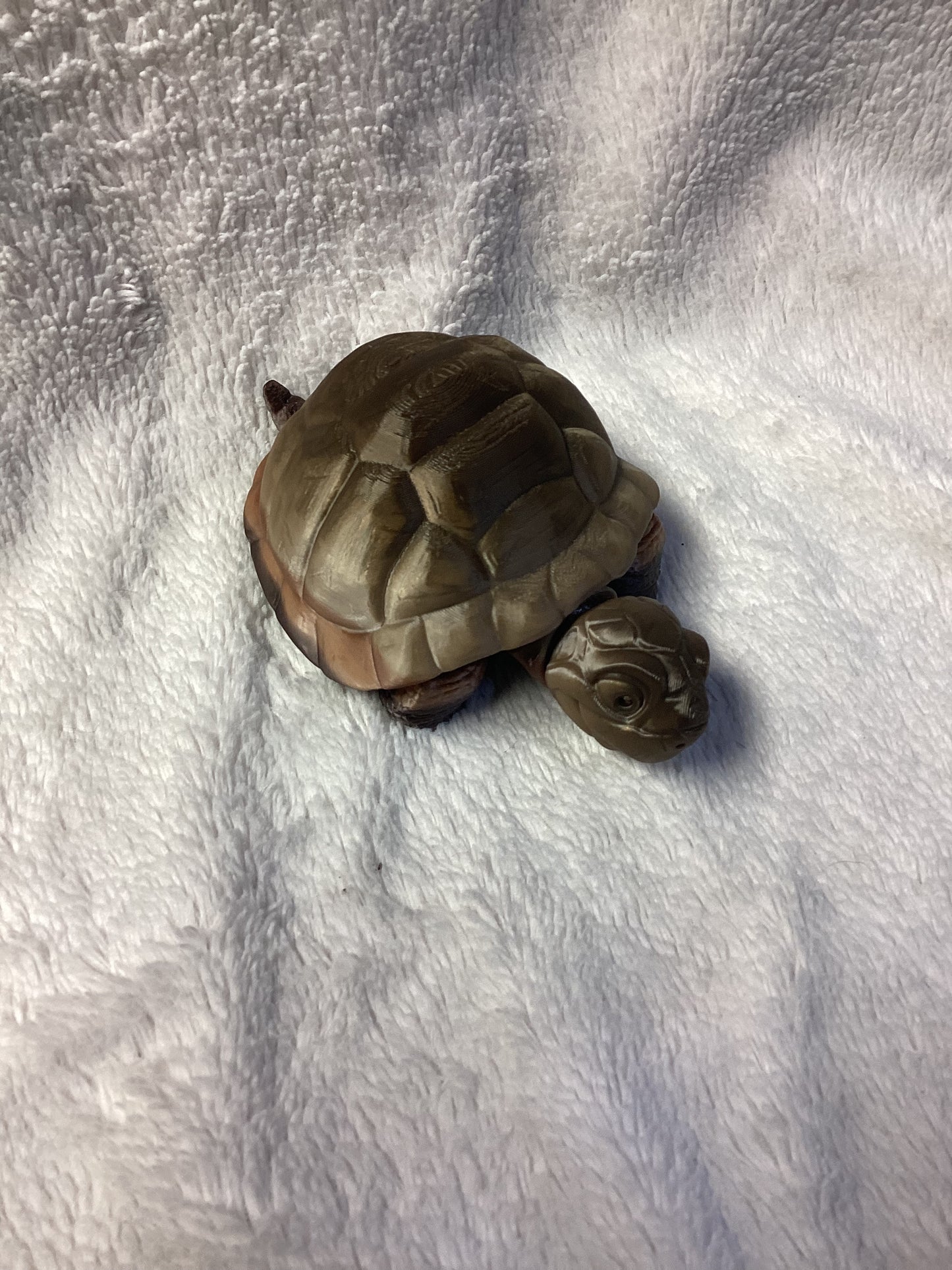 Tortoise