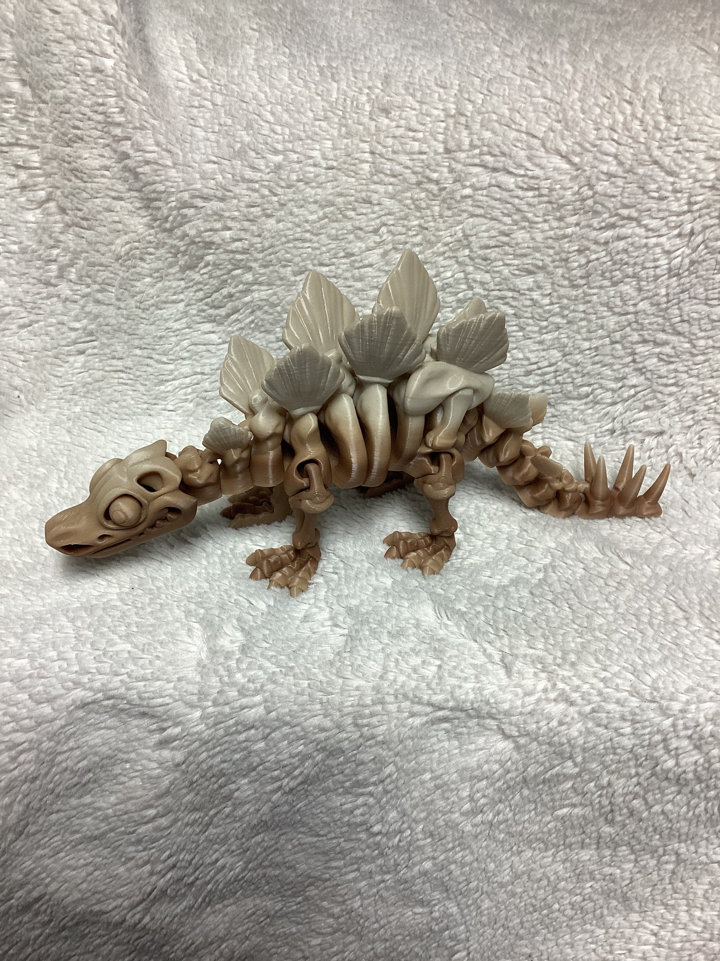 Skeleton Stegosaurus