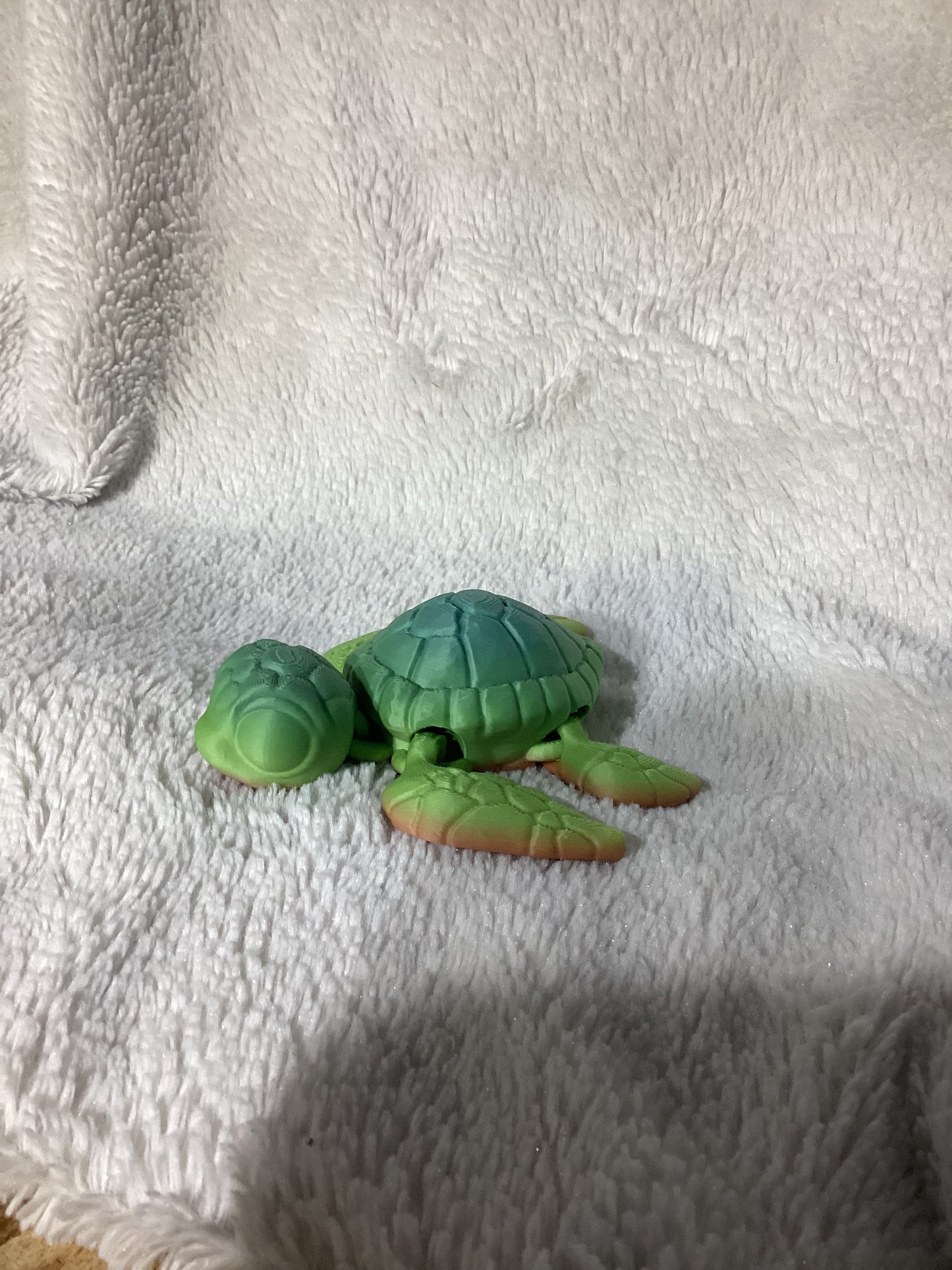 Sea Turtle