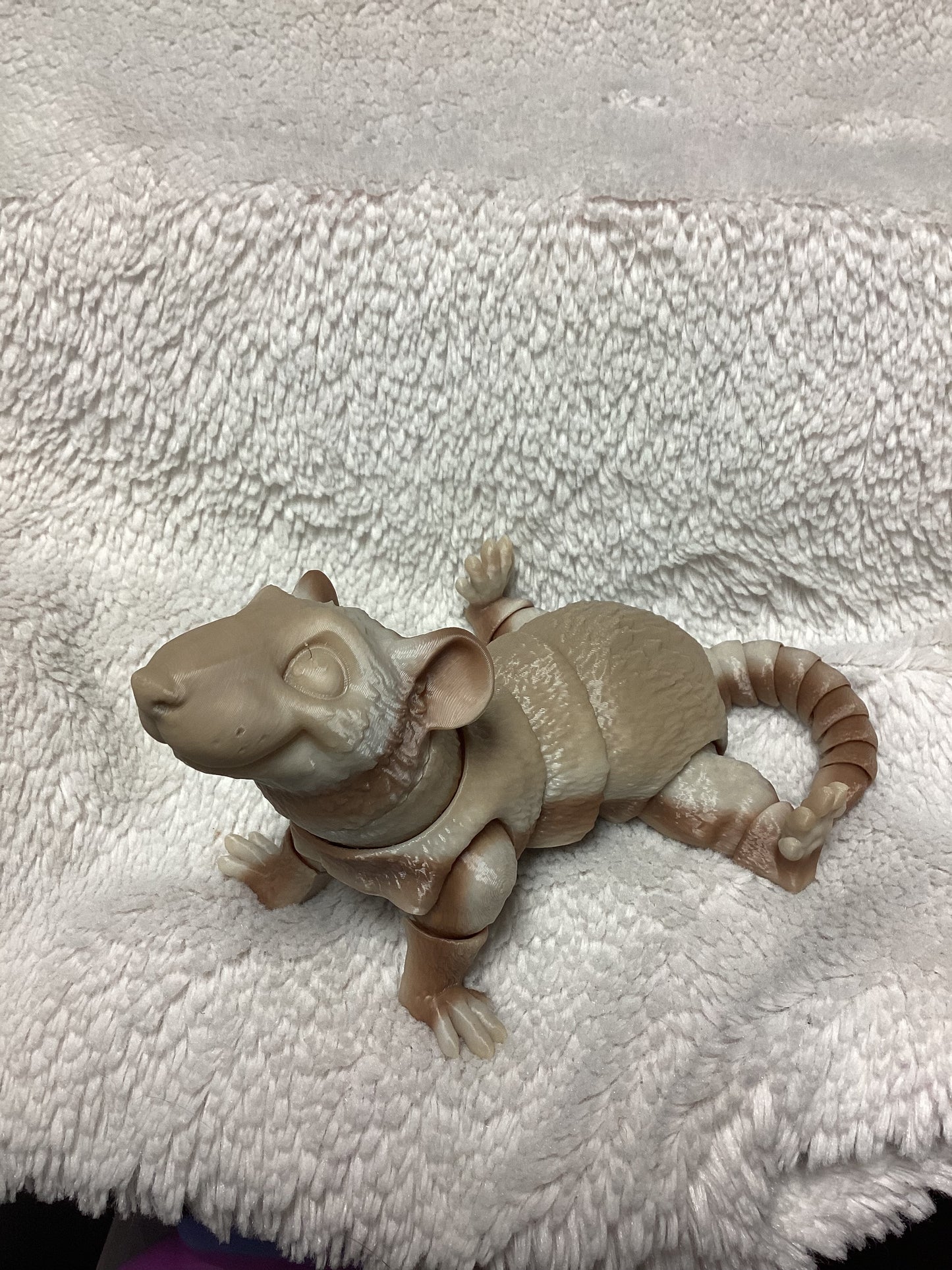 Rat