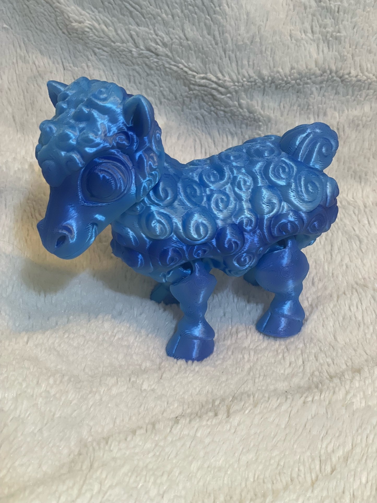 Sheep