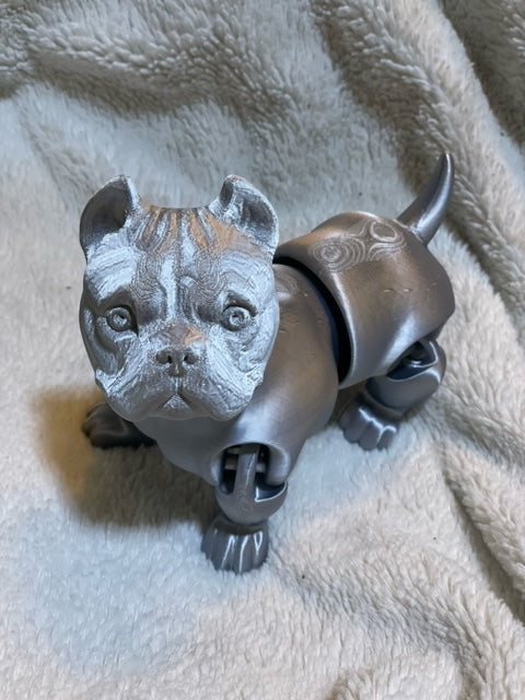American Bullydog