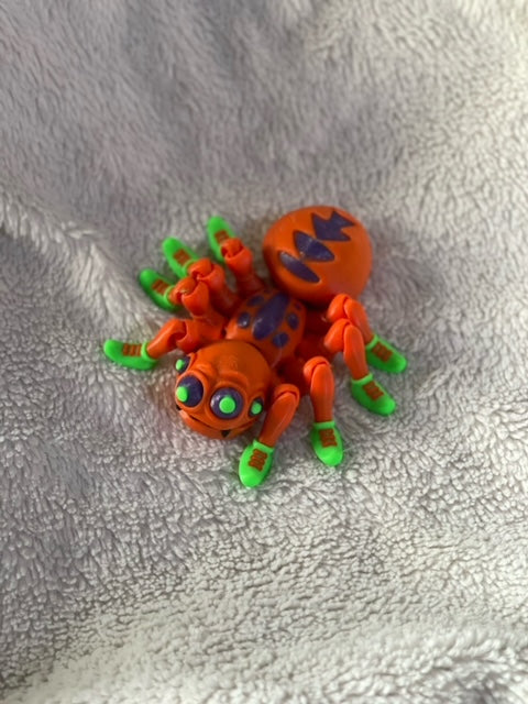 Spider (Multi-Color)