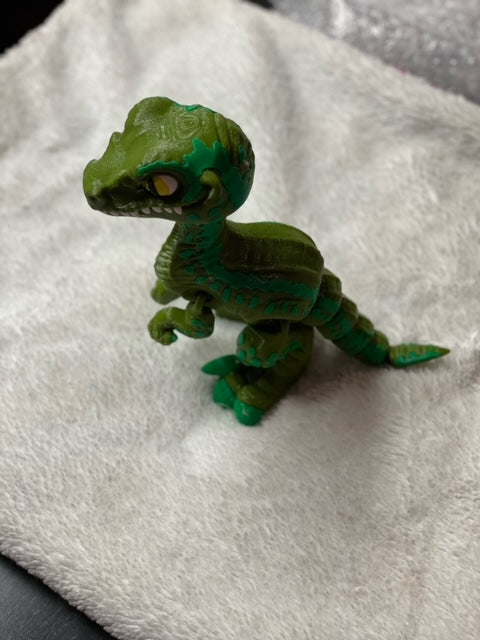 Velociraptor (Multi-Color)