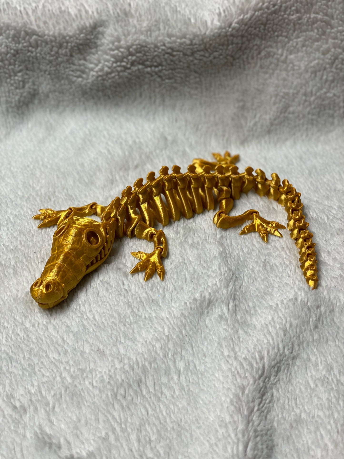 Skeleton Crocodile
