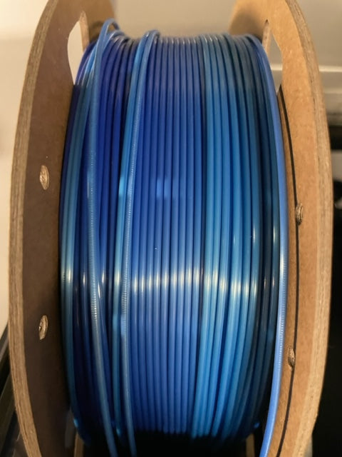 Hermit Crabs (Set of 2)