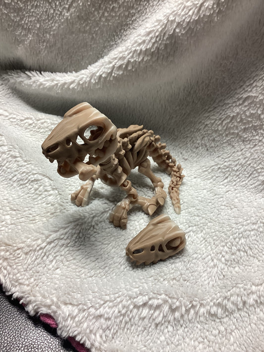 Skeleton Raptor