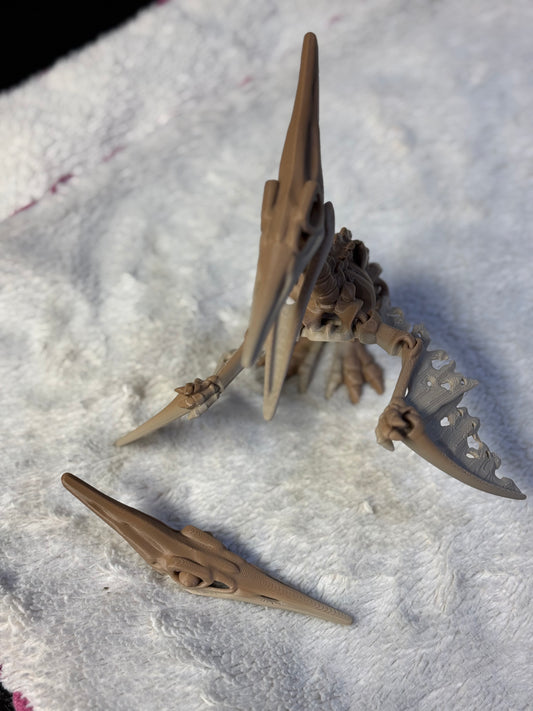 Skeleton Pteranodon