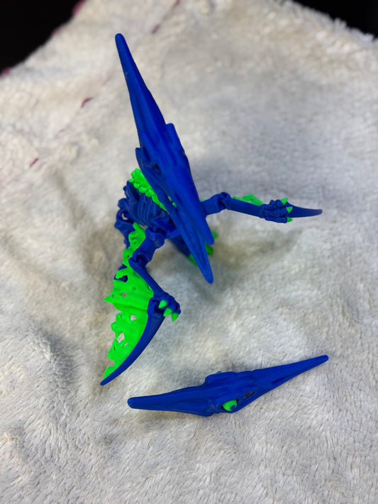 Skeleton Pteranodon (Multi-Color)