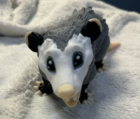 Opossum (Multi-Color)