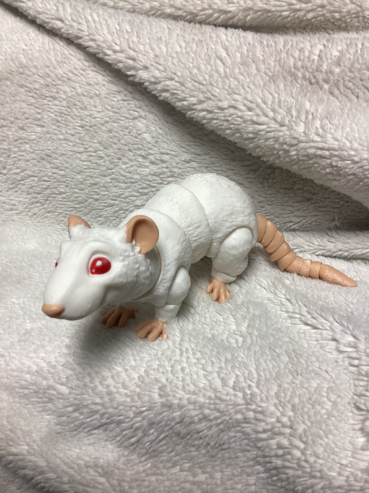 Rat (Multi-Color)