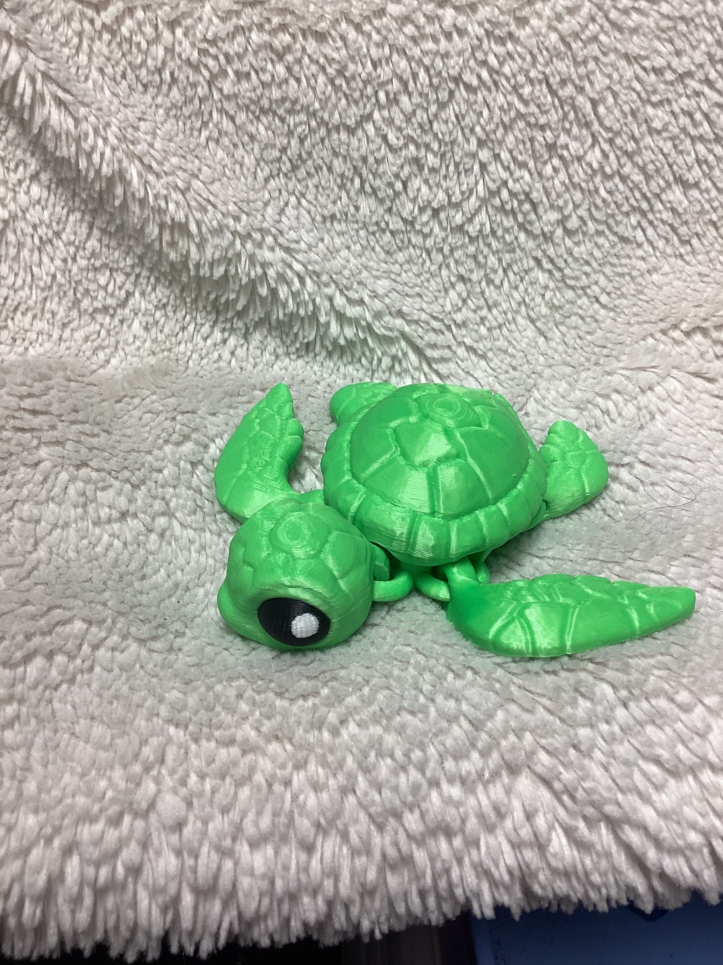 Sea Turtle (Multi-Color)