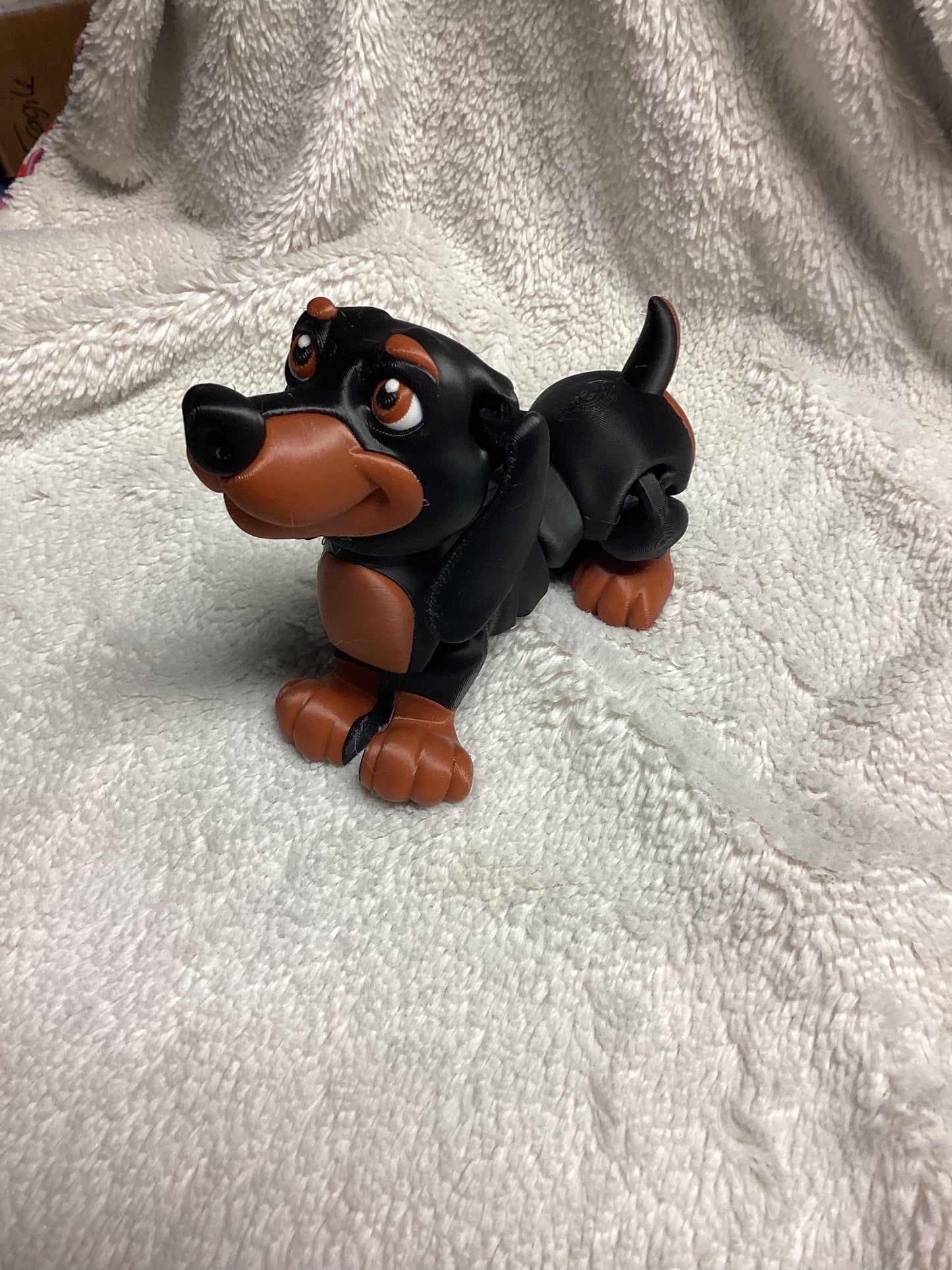 Dachshund (Multi-Color)