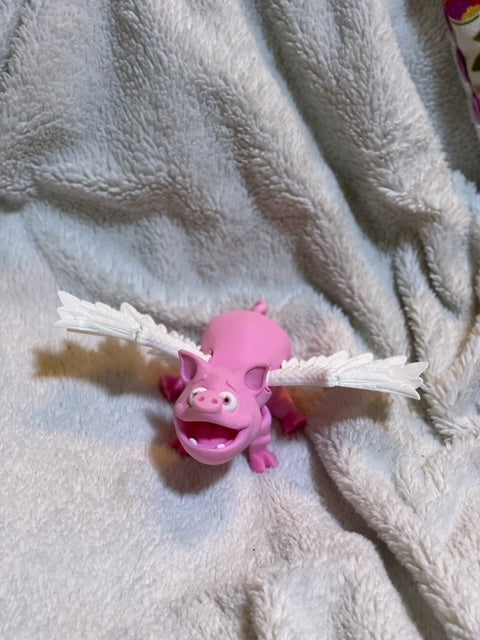 Flying Pig (Multi-Color)