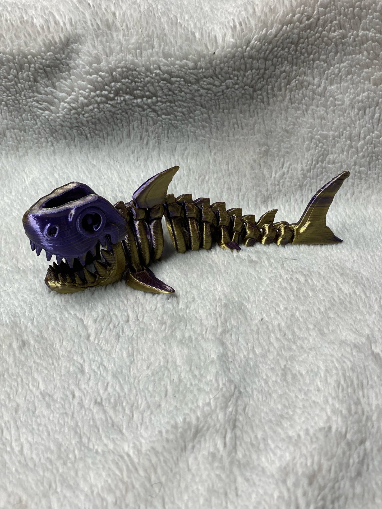 Skeleton Shark